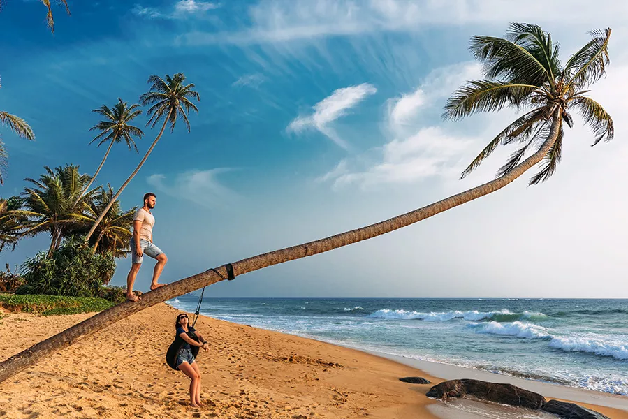 Beachfront Escapes